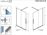 Душевая дверь Radaway Furo Black Walk-in 120 L/R