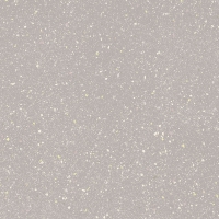 Плитка підлогова Moondust Silver SZKL RECT LAP 59,8x59,8 код 0192 Ceramika Paradyz