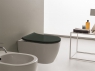 Кришка для унітаза Scarabeo Moon soft-close (5530B49) Ardesia