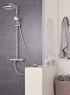 Душевая система Grohe Tempesta Cosmopolitan System 250 26670000
