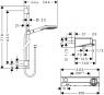 Душевой комплект Hansgrohe Raindance Select E 120 27026000 65 см Combi Set
