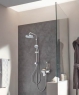 Душевая система Grohe Tempesta Cosmopolitan 27394001
