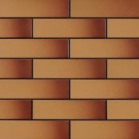 Плитка фасадна Cerrad Miodowa GLAZED 6,5x24,5x0,65 код 9850 