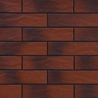 Плитка фасадна з відтінком Cerrad Rot Shaded RUST 65x245x6,5 
