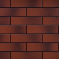 Плитка фасадна Cerrad Rot (з відтінком) 6,5x24,5x0,65 код 9546 