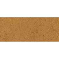 Плитка фасадна Paradyz Aquarius Brown 6,6x24,5 код 0526 Ceramika 