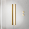Душевая дверь Radaway Furo Gold Walk-in 110 L/R