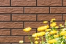 Плитка фасадна Cerrad Braz Rustiko 6,5x24,5x0,65 код 9690 