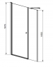 Душевая дверь Radaway EOS DWS 110 37991 110х197 см