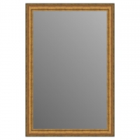 Зеркало в багетной раме J-mirror Antonia 90x60 см золото