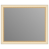 Зеркало в багетной раме J-mirror Arianna 50x60 см золото