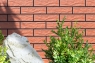 Плитка фасадна Cerrad Rot Rustiko 6,5x24,5x0,65 код 9522