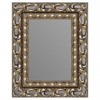 Зеркало в багетной раме J-mirror Carina 50x40 см бронзовое серебро