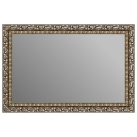 Зеркало в багетной раме J-mirror Carina 80x120 см бронзовое серебро