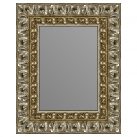 Зеркало в багетной раме J-mirror Carola 50x40 см цвет 2