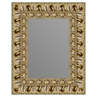 Зеркало в багетной раме J-mirror Carola 50x40 см цвет 3