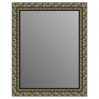 Зеркало в багетной раме J-mirror Carola 100x80 см цвет 5