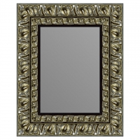 Зеркало в багетной раме J-mirror Carola 50x40 см цвет 5