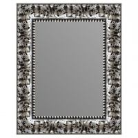 Зеркало в багетной раме J-mirror Delizia 50x40 см цвет 2