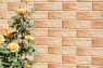 Плитка фасадна Cerrad Gobi Rustiko 6,5x24,5x0,65 