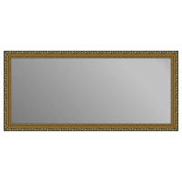 Зеркало в багетной раме J-mirror Eva 55x120 см дукат