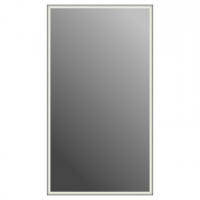 Зеркало в багетной раме J-mirror Irma XL 180x100 см цвет 5