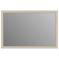 Зеркало в багетной раме J-mirror Odilia 60x90 см золотая линия