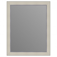 Зеркало в багетной раме J-mirror Odilia 50x40 см серебряная линия