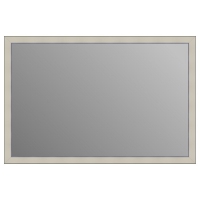 Зеркало в багетной раме J-mirror Odilia 60x90 см серебряная линия