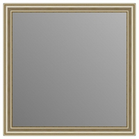 Зеркало в багетной раме J-mirror Orietta 60x60 см серебро