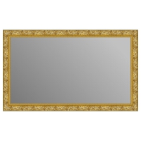 Зеркало в багетной раме J-mirror Penelope 60x100 см золото