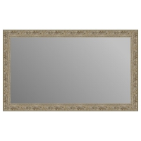 Зеркало в багетной раме J-mirror Penelope 60x100 см серебро