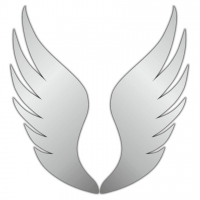 Зеркало акриловое J-mirror Reflex 021 42x40 см