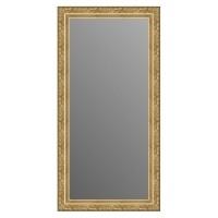 Зеркало в багетной раме J-mirror Rosita 100x50 см светлое золото