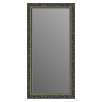 Зеркало в багетной раме J-mirror Rosita 100x50 см серебро