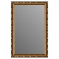 Зеркало в багетной раме J-mirror Samanta 90x60 см цвет 2