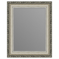 Зеркало в багетной раме J-mirror Samanta 50x40 см цвет 6