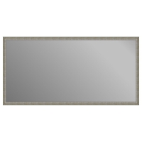 Зеркало в багетной раме J-mirror Simona 60x120 см серебро