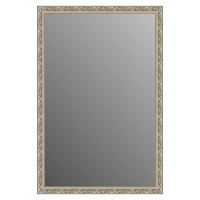 Зеркало в багетной раме J-mirror Vanda 120x80 см бронзовое серебро