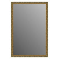 Зеркало в багетной раме J-mirror Vanda 120x80 см черное золото