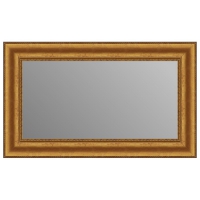 Зеркало в багетной раме J-mirror Victoria 60x100 см золото амбилайт