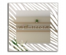 Зеркало J-mirror Zebrano 60x90 см LED подсветка